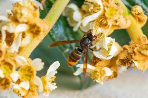 istockphoto 2243017159 612x612