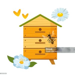 Photo non contractuelle 